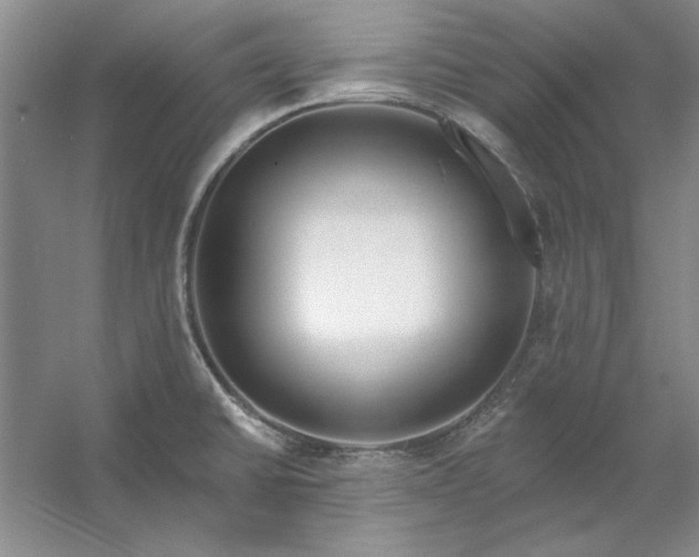 X0000053121430200507251711