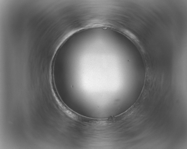 X0000053121431200507251711