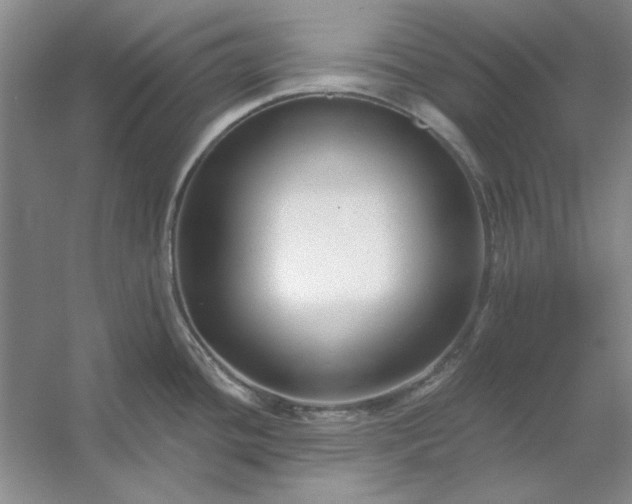X0000053121436200507251711