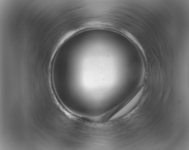 X0000053121437200507251711