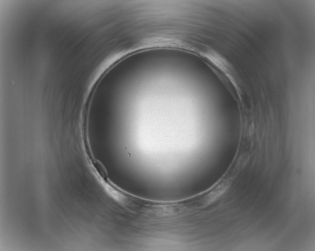 X0000053121438200507251711