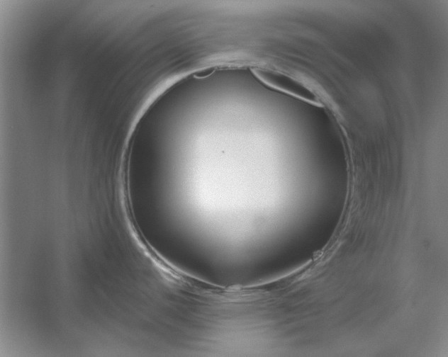 X0000053121440200507251711