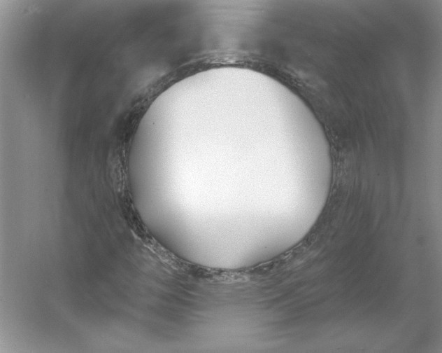 X0000053121446200507251711