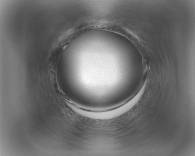 X0000053121447200507251711