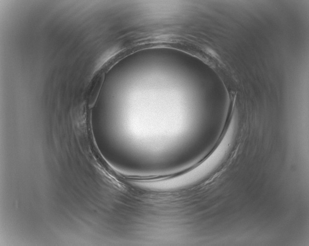 X0000053121450200507251711