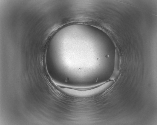 X0000053121451200507251711