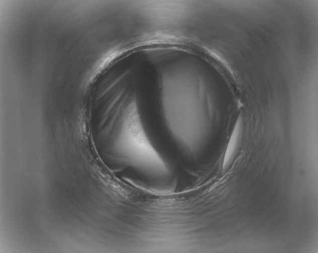 X0000053121455200507251710