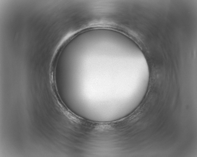 X0000053121462200507251710