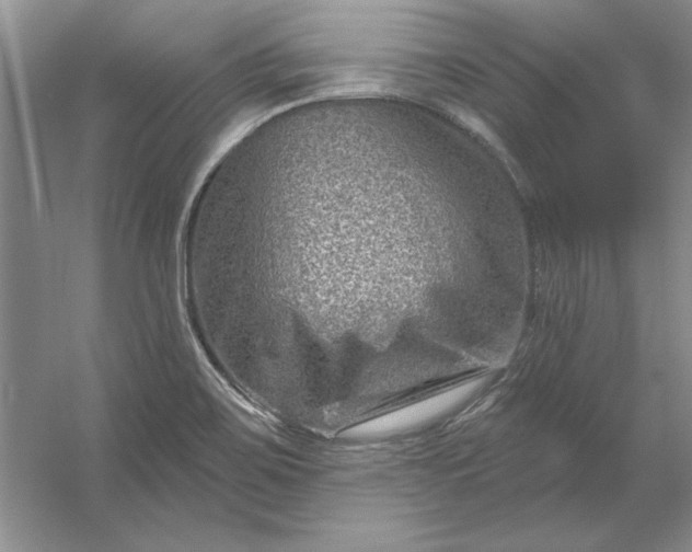 X0000053121467200507251710