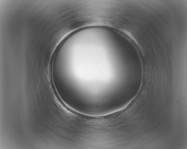 X0000053121468200507251710