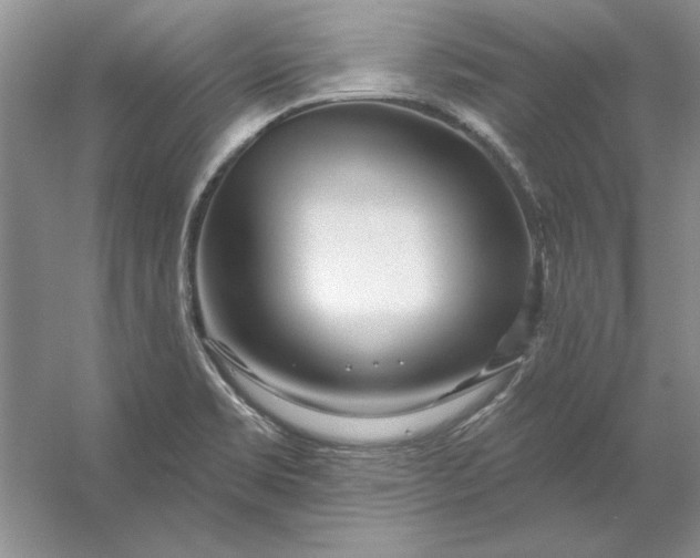 X0000053121469200507251710