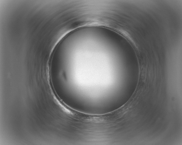 X0000053121476200507251710