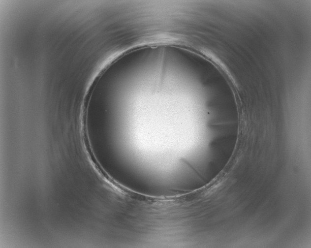 X0000053121477200507251710