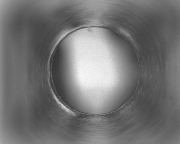 X0000053121479200507251710