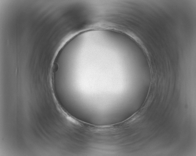 X0000053121486200507251710