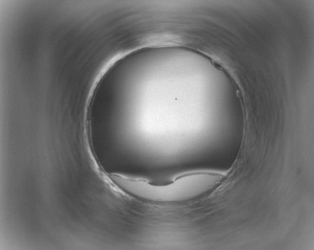 X0000053121488200507251710