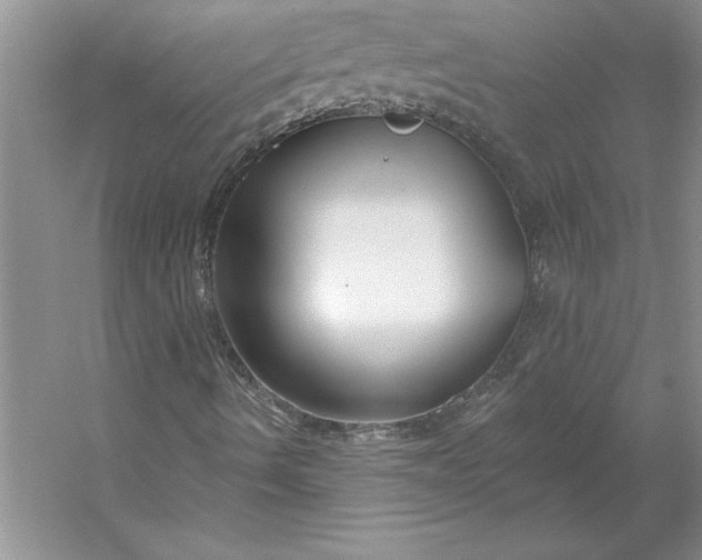 X0000053121490200507251709