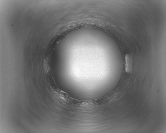 X0000053121491200507251709