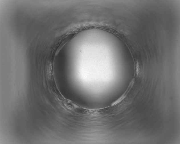 X0000053121492200507251709