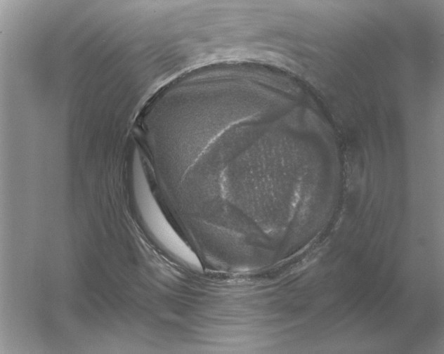 X0000053121497200507251709