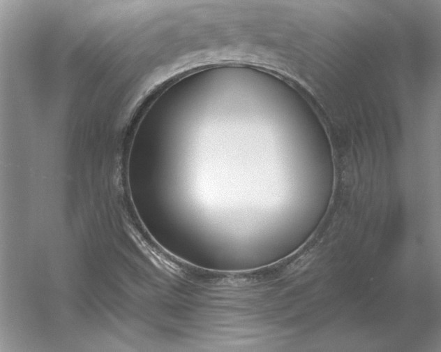 X0000053121499200507251709
