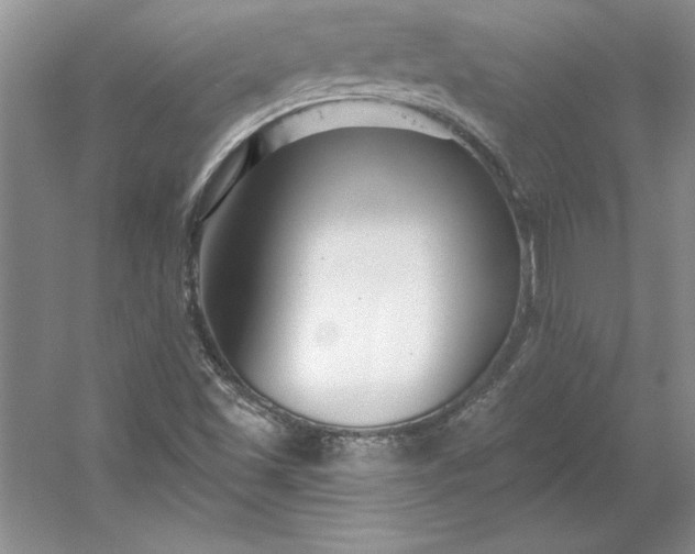 X0000053121501200507251709