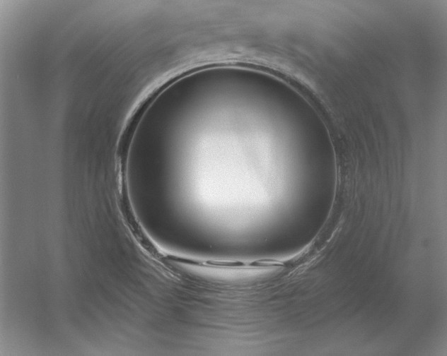 X0000053121509200507251709