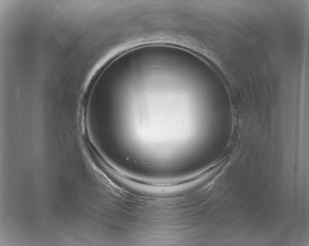 X0000053121510200507251709