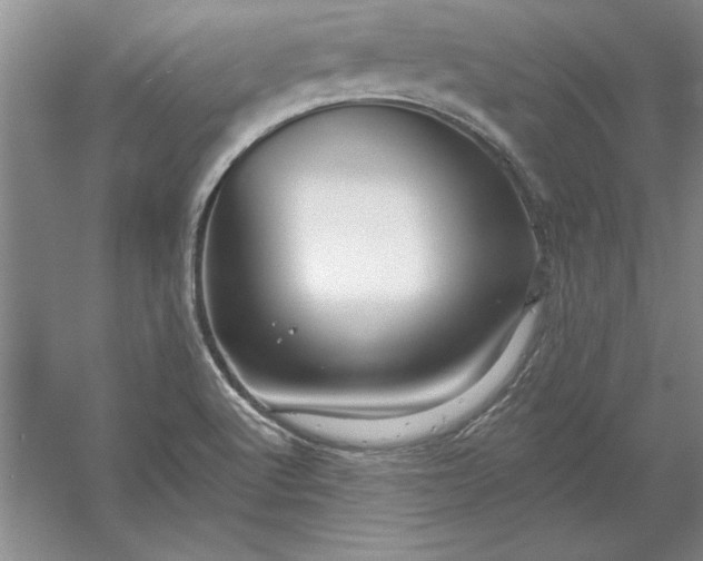 X0000053121512200507251709