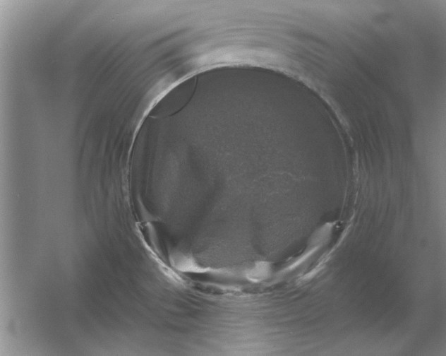 X0000053121529200507251710