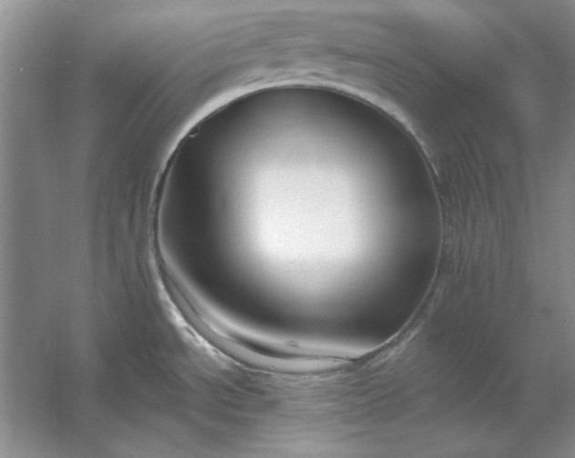 X0000053121534200507251710
