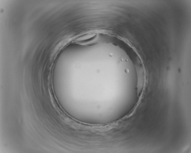 X0000053120001200508012203