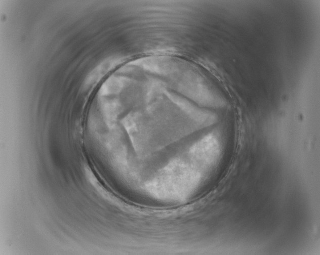 X0000053120002200508012203