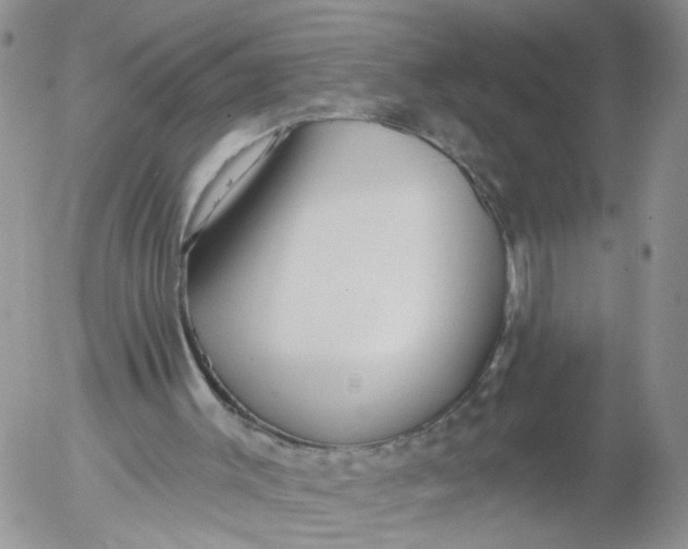 X0000053120003200508012203