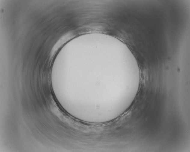 X0000053120004200508012203