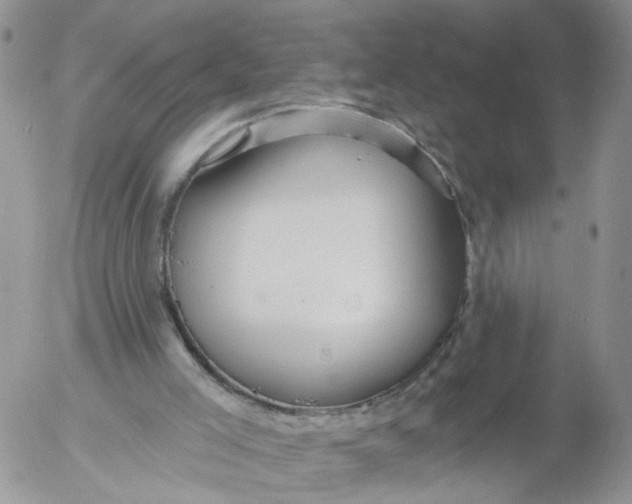 X0000053120005200508012203