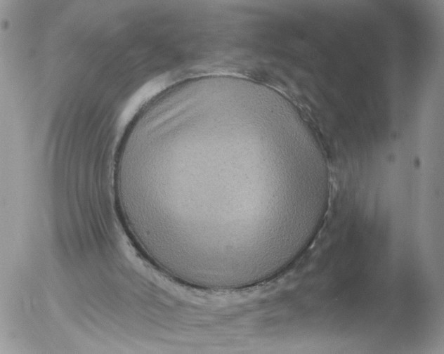 X0000053120006200508012203