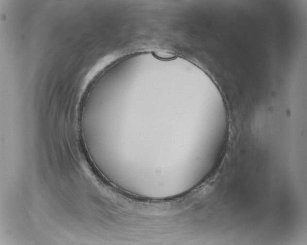 X0000053120008200508012203