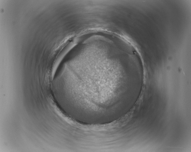 X0000053120009200508012203