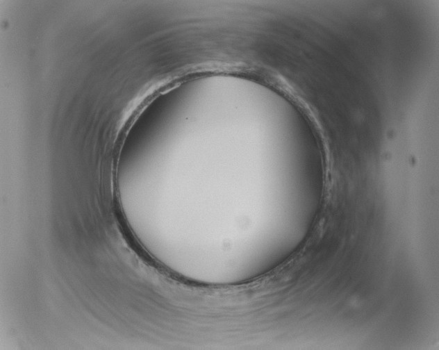 X0000053120011200508012203