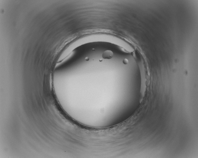 X0000053120013200508012203