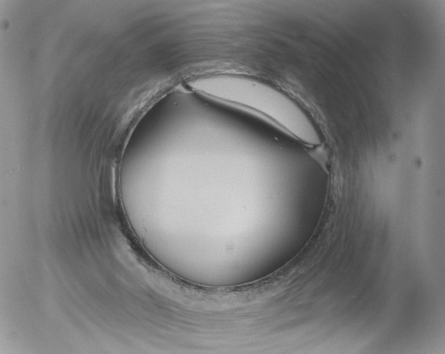 X0000053120014200508012203