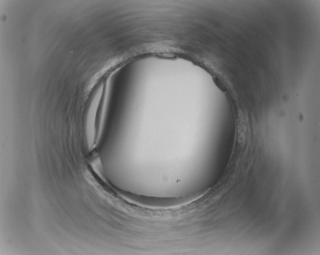 X0000053120015200508012203