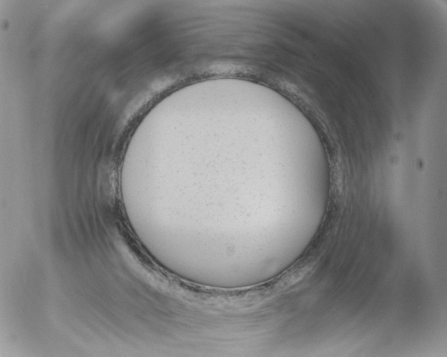 X0000053120016200508012203