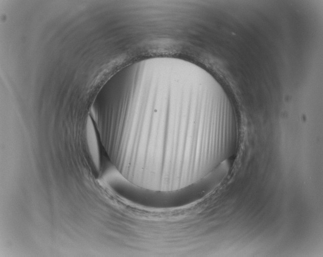 X0000053120017200508012203