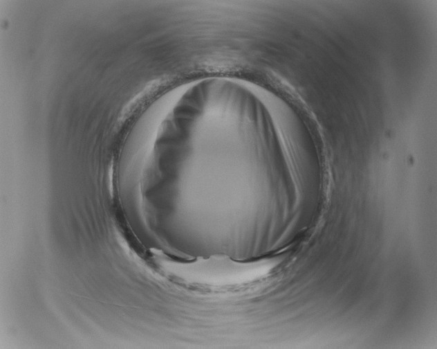 X0000053120019200508012203