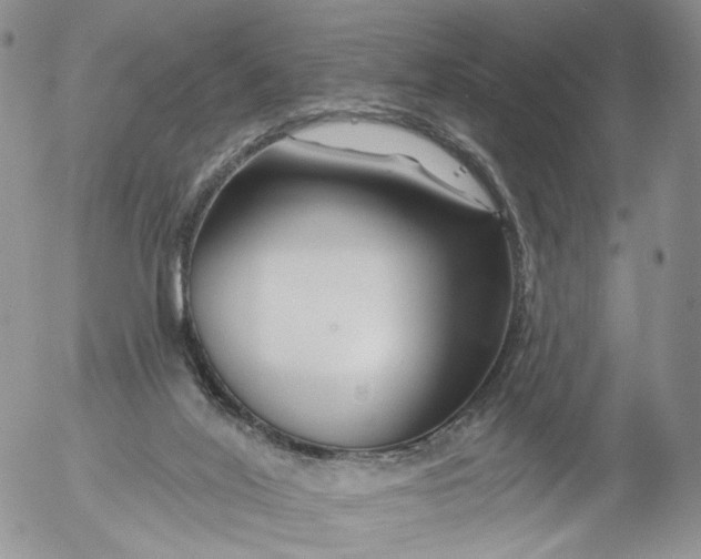 X0000053120020200508012203