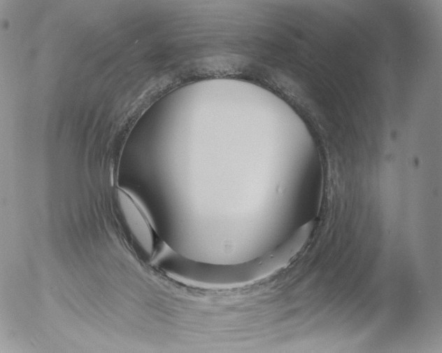 X0000053120021200508012203