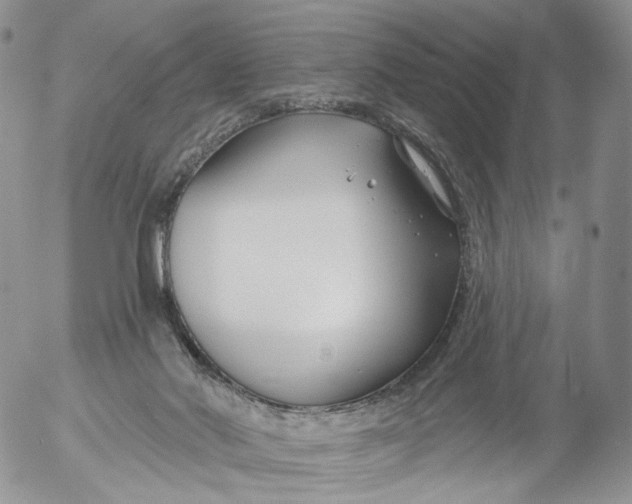 X0000053120022200508012203