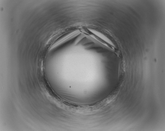 X0000053120024200508012203